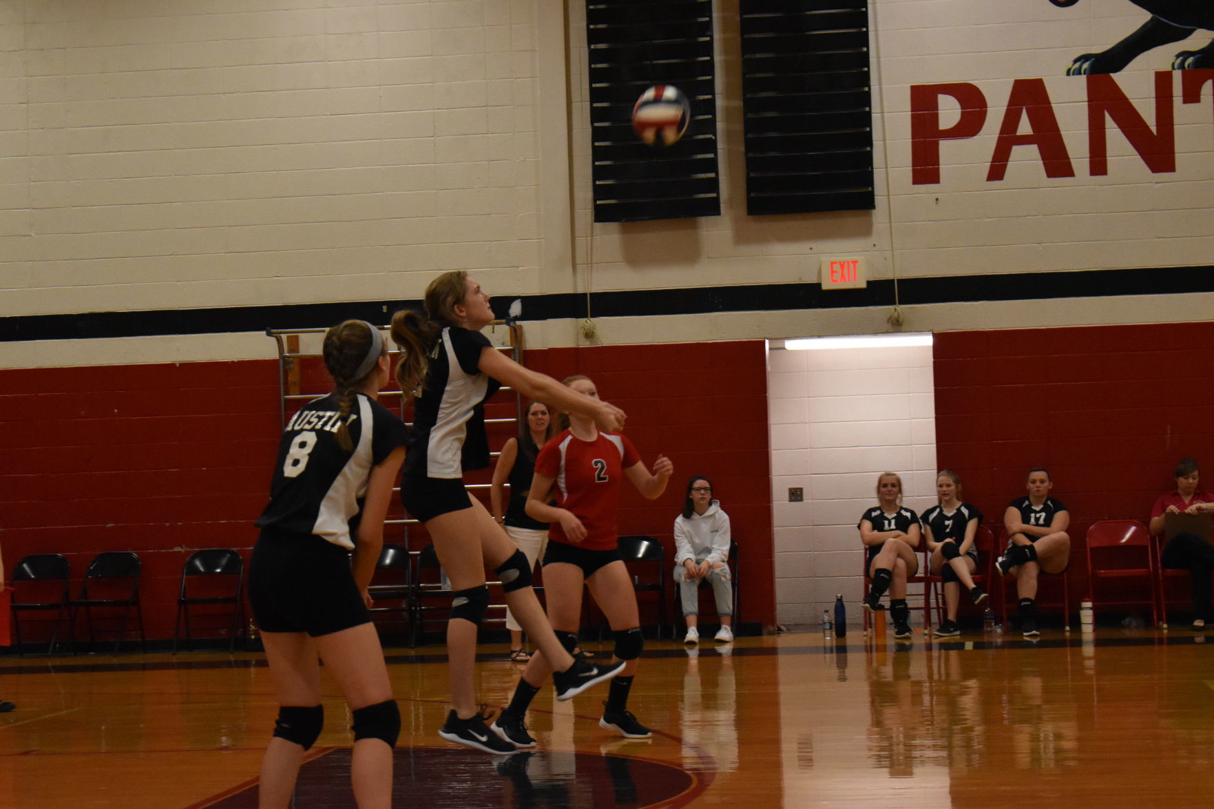 Northern Potter VS Austin